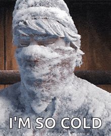 Person covered in snow saying I’m so cold