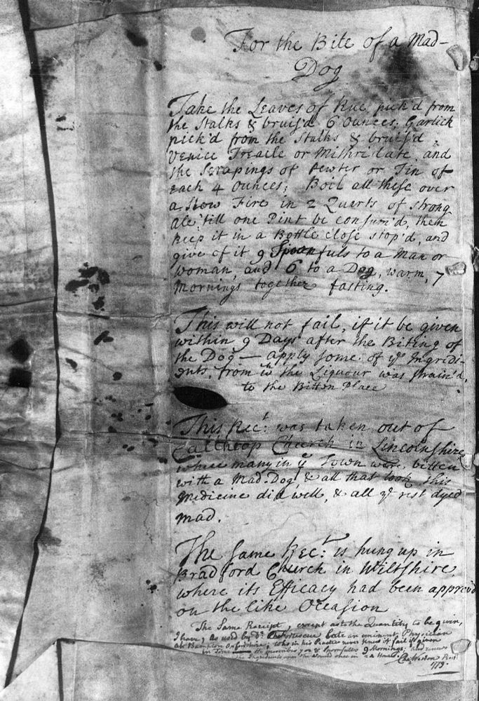 For the Bite of a Mad Dog

Take the Leaves of Rue pick’d from the Stalks & bruised 6 Ounces; Garlick pick’d from the Stalks & bruised, Venice Treacle or Mithridate, and the Scrapings of Pewter or Tin of each 4 ounces; Boil all these over a Slow Fire in 2 Quarts of strong Ale ‘till one Pint be consum’d, then keep it in a Bottle close stop’d, and give of it 9 Spoonfuls to a Man or Woman, and 6 to a Dog, warm, 7 Mornings together fasting.

This will not fail, if it be given within 9 Days after the Biting of the Dog – apply some of the Ingridients, from which the Liquour was strain’d to the Bitten Place

This Receipt was taken out of Calthrop Church in Lincolnshire where many in the Town were bitten with a Mad-Dog, & all that took this Medicine did well, & all the rest dyed mad.

The Same Receipt is hung up in Bradford Church in Wiltshire, where its Efficacy had been approv’d on the like Occasion

The Same Receipt, except as to the Quantity to be given, I have, as used by Dr Fortescue late an eminent Physician at Bampton, Oxfordshire, who in his Practice never knew it fail if given in Time. He prescribes 7 or 8 Spoonfulls 9 Mornings and renews the Ingredients upon the Wound once in 24 Hours. Cha. Weston Rector 1779

From: Parish Register of St Mary, Therfield, Hertfordshire. Hertfordshire Archives & Local Studies ref DP/107/1/2
