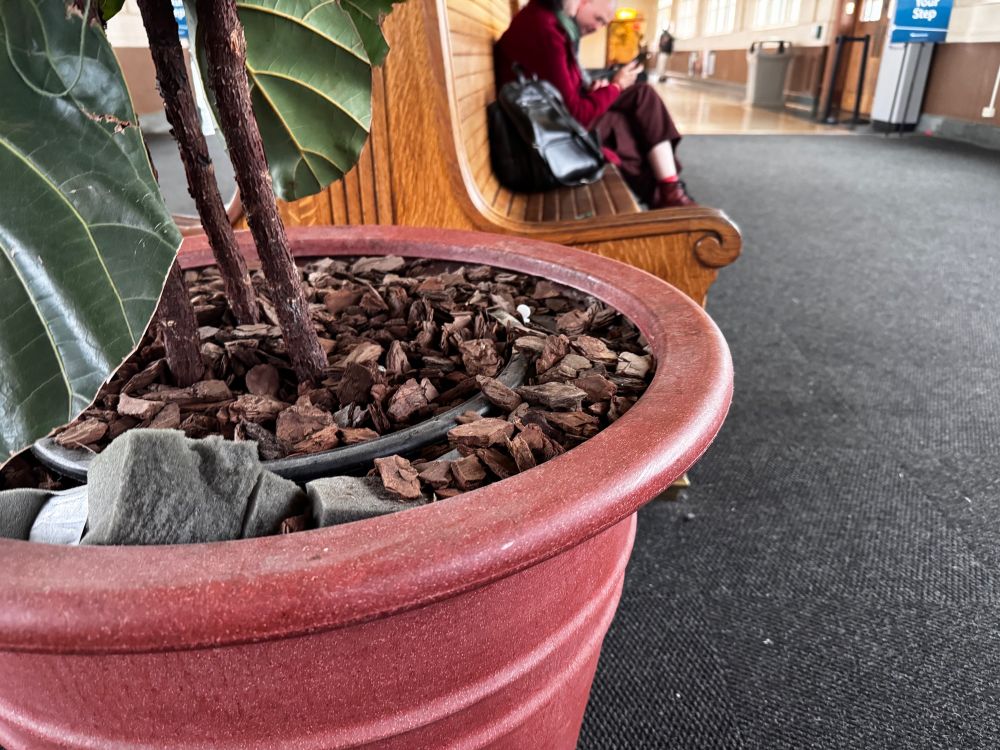 Picture of a flower pot in a train station with a white piece of plastic in it