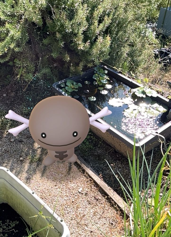 庭にパルデアウパーがいた時の写真（ポケモンGOスナップショット）