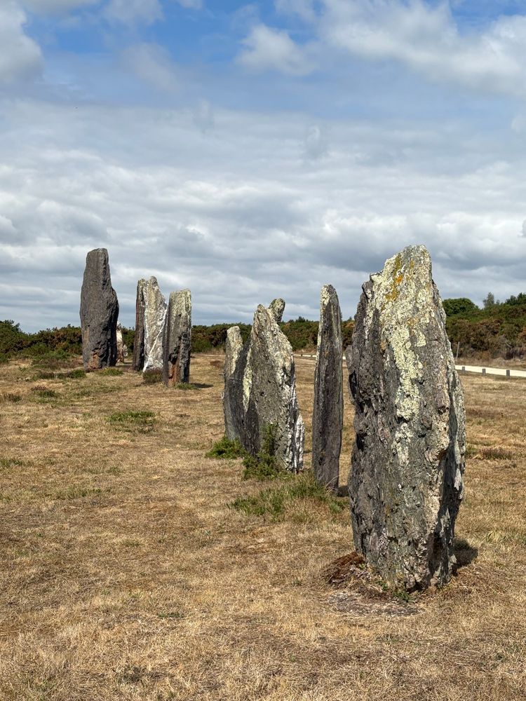 7 tall, thin grey stones run from top left of the photo to bottom right in a not altogether straight line, across parched brown grass. The sky above, a melange of blues, greys and whites which help highlight both the green lichen and white quartz on some of the stones.