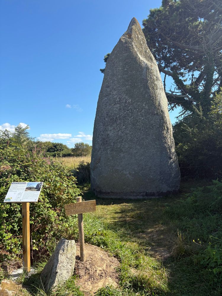 A huge triangular  menhir stands in a small green corner of a field surrounded by bushes, a tree and interpretation boards 
