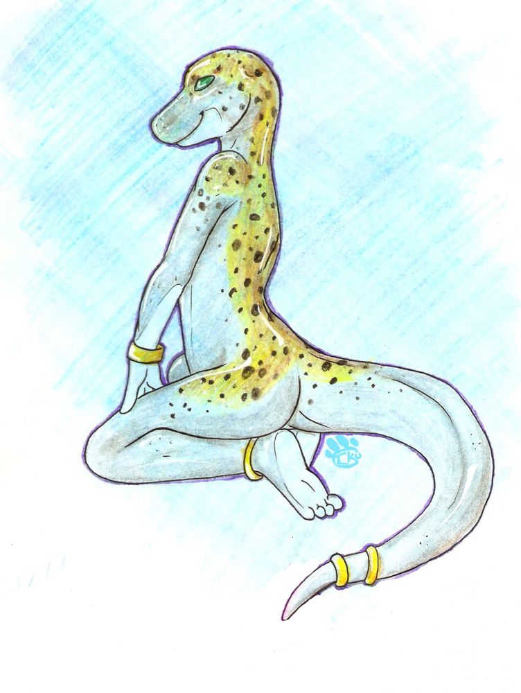 Leopard gecko twink