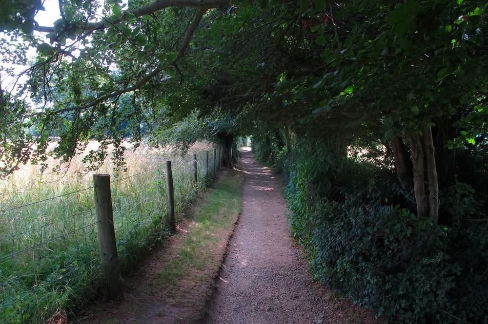 Photo © Allen Dennis, 2018

View down Charles Darwin's Sandwalk, Down House. On a sunny day, tall trees on the right completely shade a brown gravel path. To the left a (barbed?) wire fence with wooden fence posts separates the path from a sunlit hayfield. About 50m away, the shade from the trees gives out, and a small sunlit view looks like the light at the end of a tunnel. 

The row of trees on the side of the photo is called a shaw, and was planted at D's instruction. The pebbles on the sandwalk are of a local chert. As Darwin walked up and down this path, he would make a pile of pebbles to mark the number of laps he had walked. His children would add/take away from the pile when he headed the other direction.