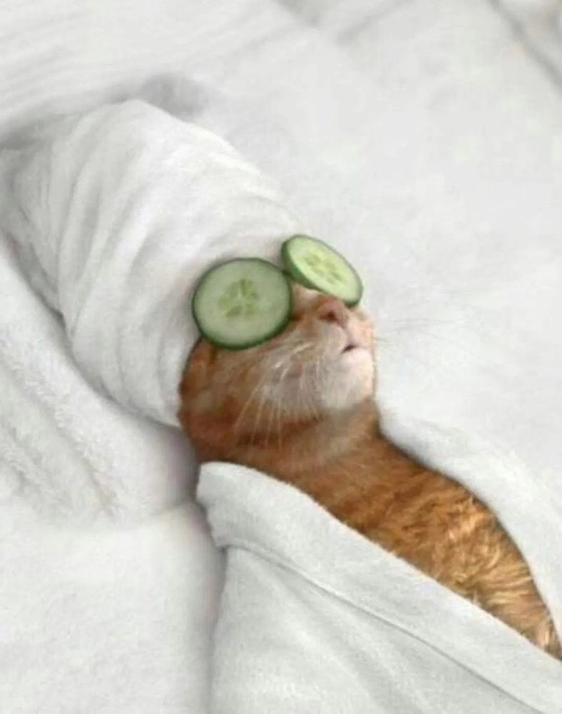 Une IA qui a généré un chat roux allongé dans une serviette éponge avec des concombres sur la tronche. 