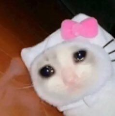 Imagem em baixa resolução de um gatinho triste com os olhinhos cheios de lágrimas no que parece ser uma fantasia da hello kitty, o gatinho parece estar deitado em um chão marrom