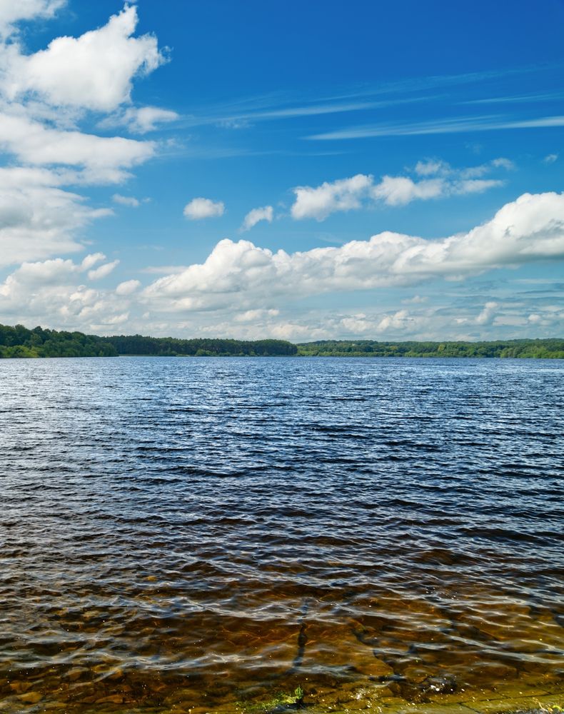 A blue sky with white clouds above a lake which is a man made reservoir. On the horizon green trees can be seen all the way across. In the foreground the water is clear and looks golden due to the stones and land underneath the water.