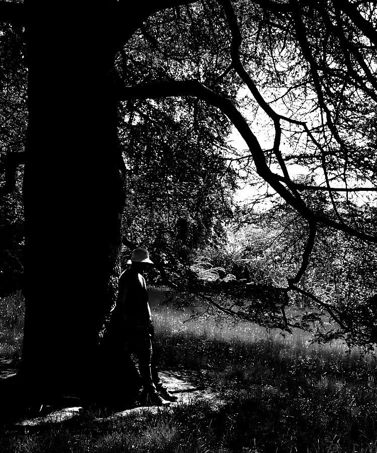 A black and white image of a large tree in silhouette on the left. A side profile of a woman mostly in silhouette wearing a hat stands with her back against the trunk of the tree. The tree's branches curve across the image above the woman. The ground is very grassy and the background consists of more trees, branches and leaves. A patch of light sky can be seen towards the top right of the image.