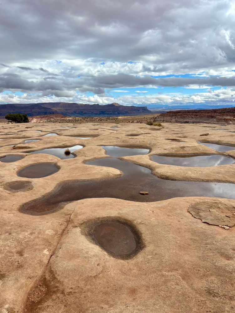 Sandstone with potholes full of water.