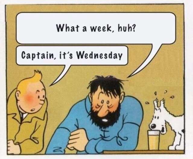 The classic "Captain, it's Wednesday" Tintin comic panel. "What a week, huh?" sighs a beleaguered Captain Haddock, as fresh-faced young Tintin reminds him it is, indeed, only Wednesday. The little white terrier dog Snowy sips a fat juicy pint beside them.