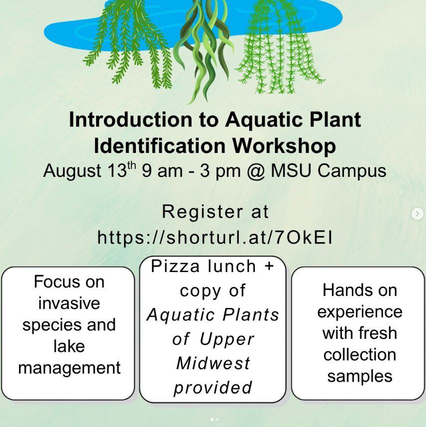 Learn the basics of aquatic vegetation ecology and identification in this 1-day workshop held on the campus of Michigan State University, instructed by Jeremy Hartsock, Erick Elgin (Michigan State University Extension), and Billy Keiper (Michigan Department of Environment, Great Lakes, and Energy).  Participants will learn to identify submerged and floating vegetation common to lakes throughout Michigan.  Special emphasis will be placed on vegetation types relevant to lake management, including invasive species. Hands-on identification practice will be made possible through the use of freshly collected specimens.
Pizza lunch will be provided, and you will receive a copy of Aquatic Plants of the Upper Midwest by Paul Skawinski.