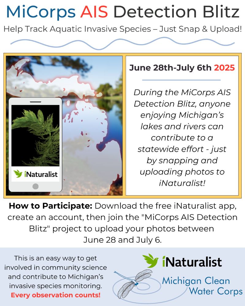 Promotional graphic for the MiCorps AIS Detection Blitz. Text reads: Your Photos Can Help Track Michigan’s Aquatic Invaders!
Heading out on the water during the July 4th holiday week?
Keep your phone handy! From June 28 - July 6, the Michigan
Clean Water Corps (MiCorps), a statewide community science
network that tracks what's happening beneath the surface of
Michigan’s lakes and rivers, is hosting an Aquatic Invasive
Species (AIS) Detection Blitz.
Ever heard of a detection blitz? Think of it as a community-wide
treasure hunt, except you're spotting aquatic invasive species!
It's easy to help - if you see an unfamiliar aquatic plant, a
strange critter, or even something you have heard about (like
zebra mussels or Eurasian watermilfoil), snap a quick photo
using the free iNaturalist app.
Your photos turn everyday nature observations into valuable
scientific data, helping scientists and natural resource
managers quickly identify and track potential threats in our
waters.
How to Participate:
Download the free iNaturalist app and create an account.
Join the "MiCorps AIS Detection Blitz" project in the app.
Snap and upload your photos anytime during the event
dates- no special ID skills needed!
Let's see what we can discover together!