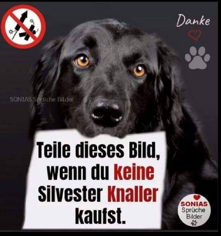 Hund mit Schild in seiner Schnauze,  auf dem steht Teile dieses Bild wenn du keine Silvester Knaller kaufst.