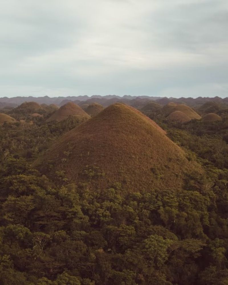 Chocolate Hills, les monts chocolat de Bohol