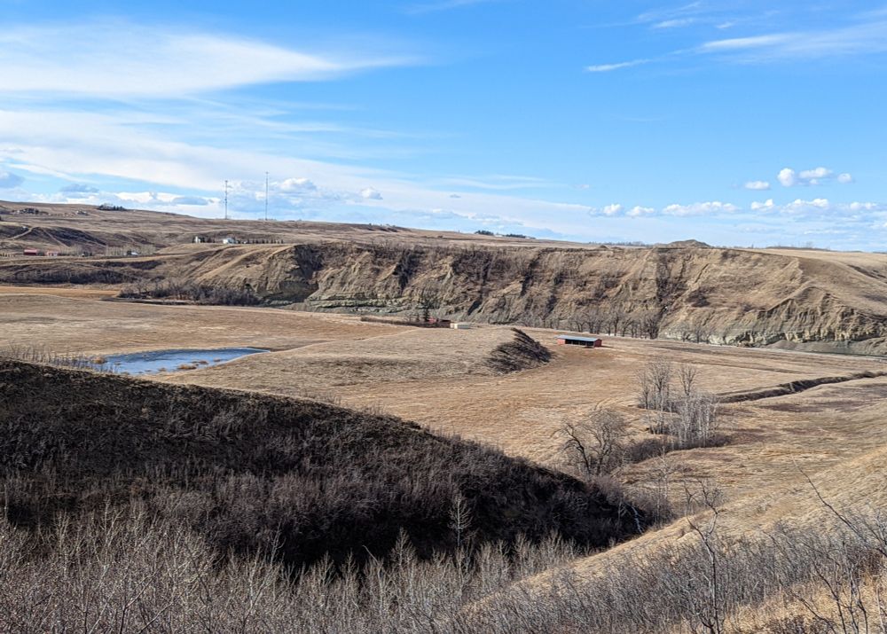 A view of the Alberta prairies, currently dry and brown in early spring. Looking down from a coulee into a river valley, populations of trees and grass are visible with stark sandstone cliffs in the distance and the mountains subtly visible on the horizon under a blue sky. 