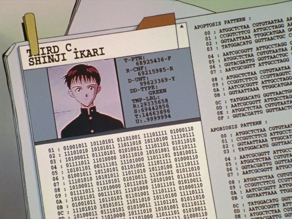 A document containing binary and genetic information about Shinji