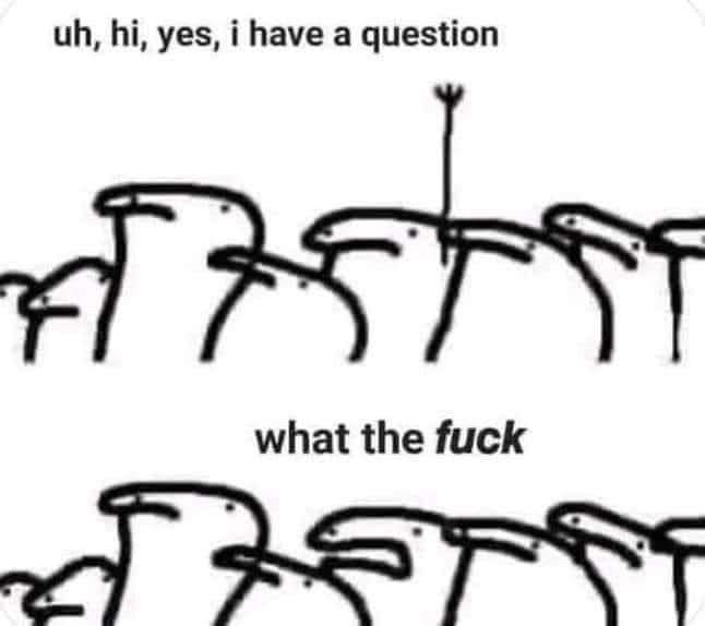 Two panels of a simply drawn group of people (maybe sheep) all looking in the same direction to the left. First panel, one raises their hands with the caption, “uh, hi, yes, i have a question.” Second panel, same individual, hand lowered, caption “what the fuck”