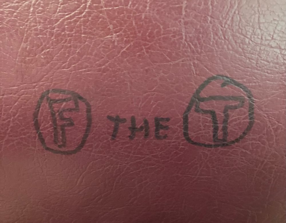 graffiti on a seat back that says “F the T”