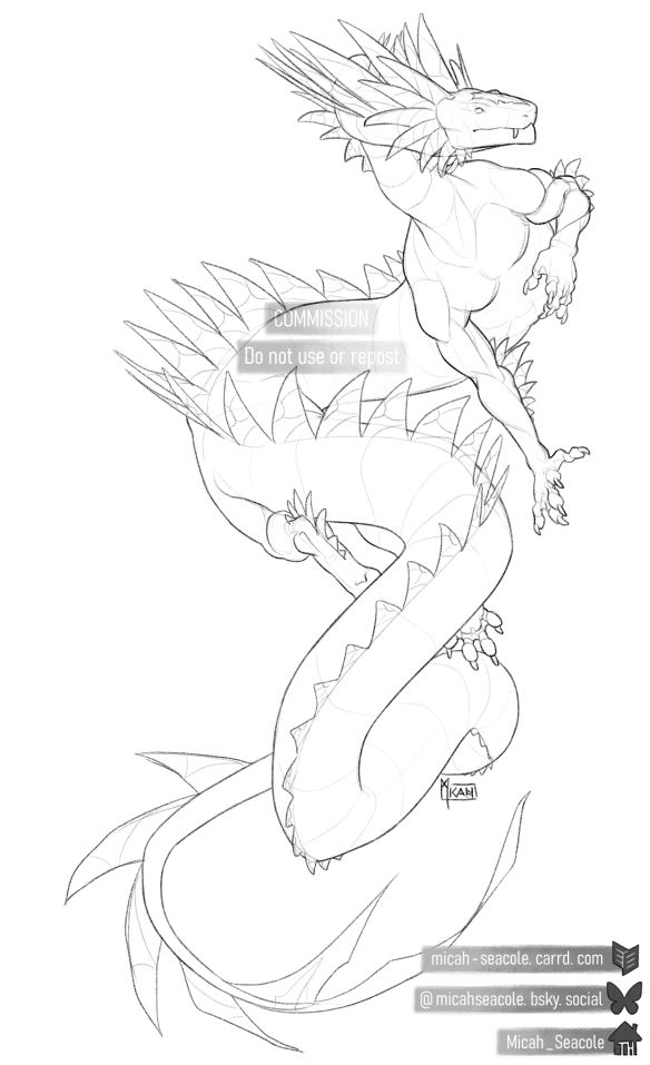 digital sketch of a wingless dragon twisting through empty space. Fins line her neck and spine. Character belongs to @Arukanoda.