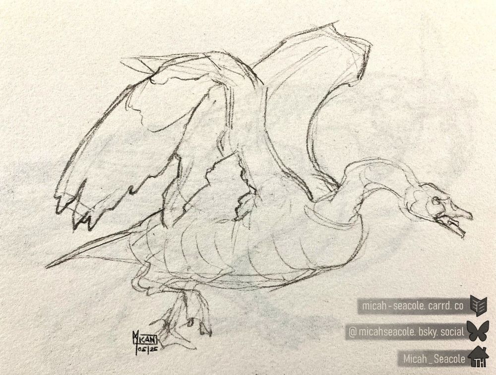 rough pencil sketch of a Canada goose running to attack with both wings in the air, neck bent and beak open in a hiss.