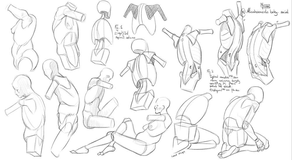 multiple art studies of human torsos, main focus is on the shoulders and the back. The forms are simplified.