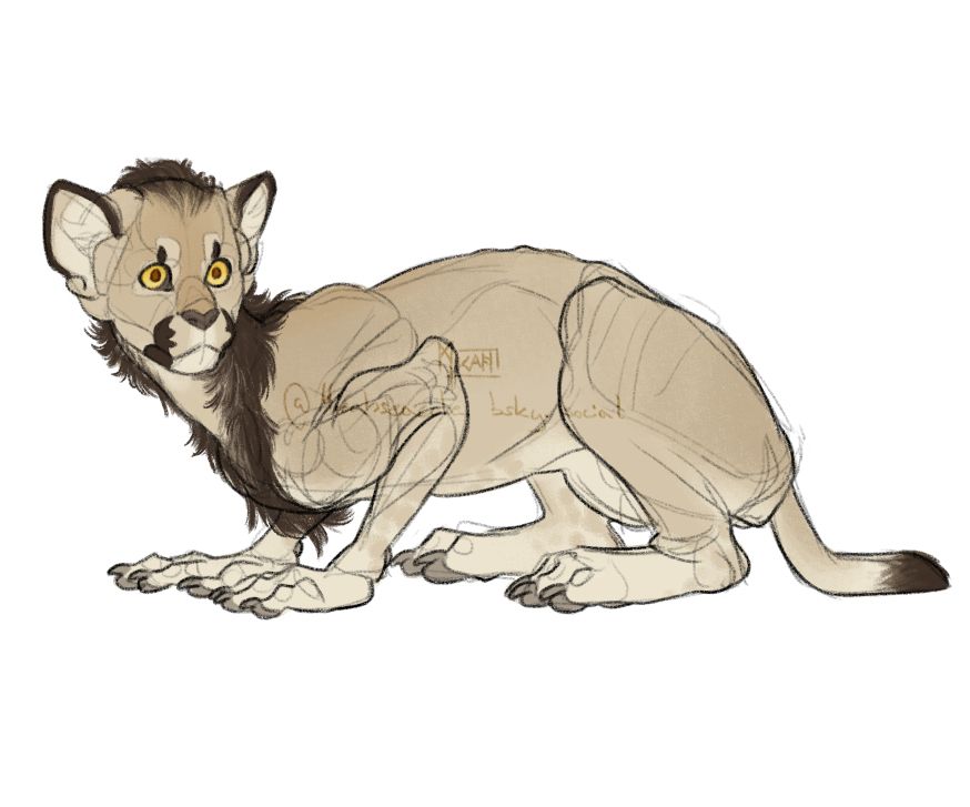 My OC Kyriakos crouching and looking to his left towards the viewer. He is a (mythological) Sphinx that looks like a very even blend of human and lion anatomy. He is skinny, has sand colored fur, a short and scruffy brown mane and big yellow and copper eyes.