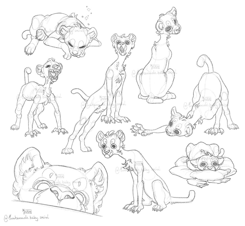 a digital sketchpage of my sphinx OC Kyriakos in various poses, including: sleeping, curled up on a pile of blankets, sitting (back to us), sitting (looking in our direction), standing on something and going "oooooh", standing and screaming, looking closely at a bug on the floor with his butt high in the air, a close-up of his face looking at the camera over the edge of something.