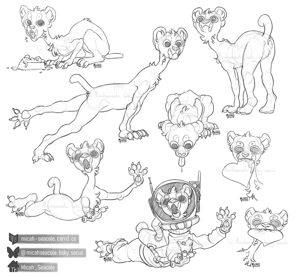 a stylized digital sketchpage of my sphinx OC Kyriakos in various poses, including: Eating messily from a bowl, stretching and peering at something, standing with his tail up staring off in the distance, crouching on top of something and letting a ball of spit drip down from his tongue, two busts of him holding large paper hearts covered in drool, two of the same pose of him floating (normal and space suit versions).