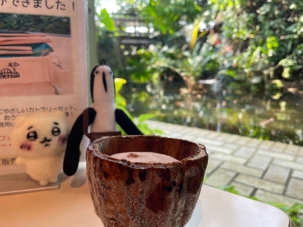 休憩スペースで食べた「はんぶんカカオ」と言う名前のカカオを横に半分切った器の中にチョコアイスが入ってるもの。
休憩スペースは、窓から植物と滝を眺めれてとても落ち着く空間。