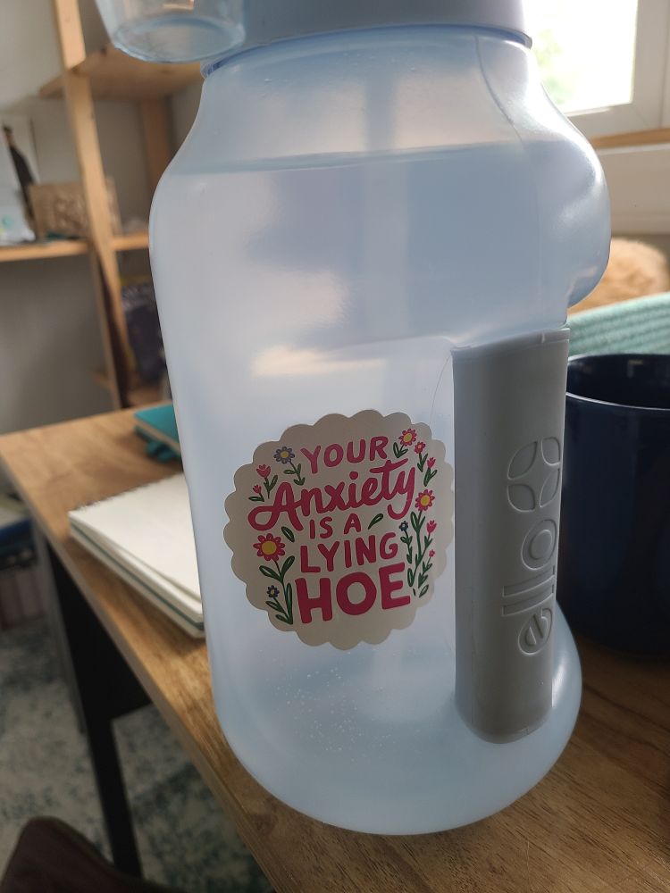 Water bottle with a sticker that says, "your anxiety is a lying hoe" with cute flowers around it
