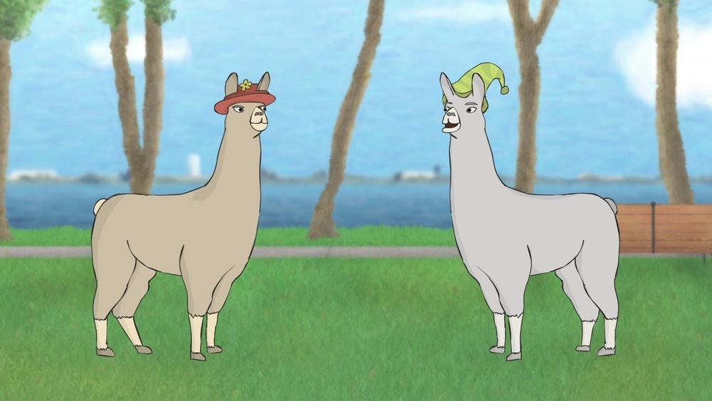 Llamas with hats