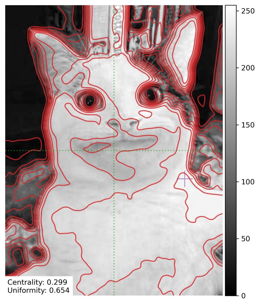Overlay of a wrong cat picture instead of an FF image
