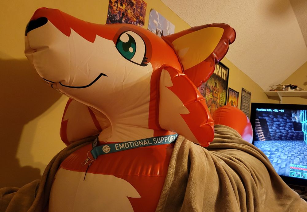 Pooltoy fox in a blanket with a "emotional support pooltoy" lanyard on