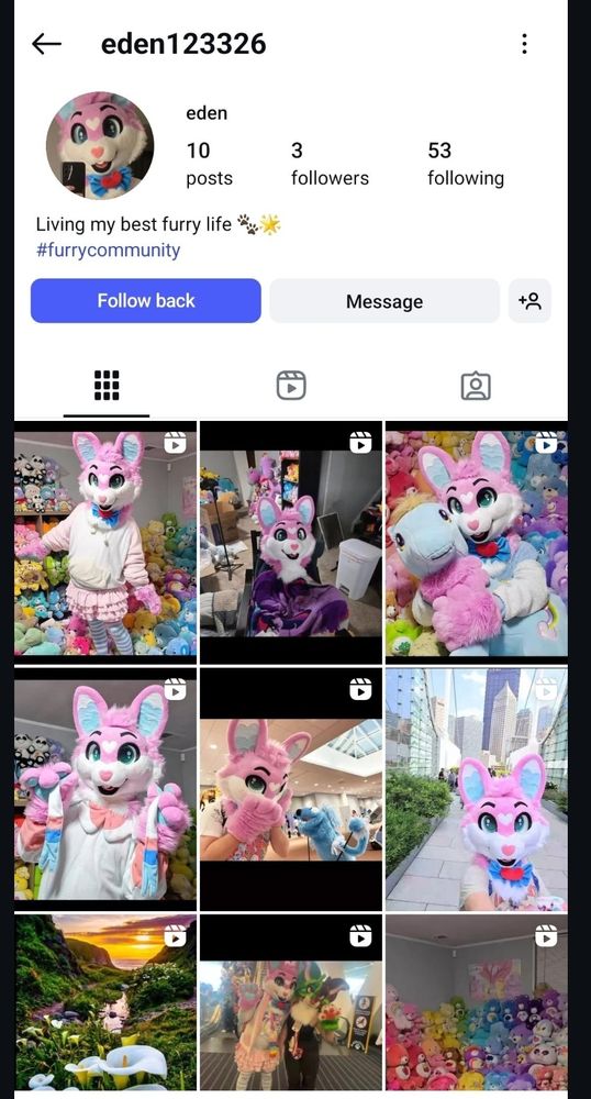 A screenshot of an instagram account using my fursuit photos to try and impersonate me. Please report eden123326