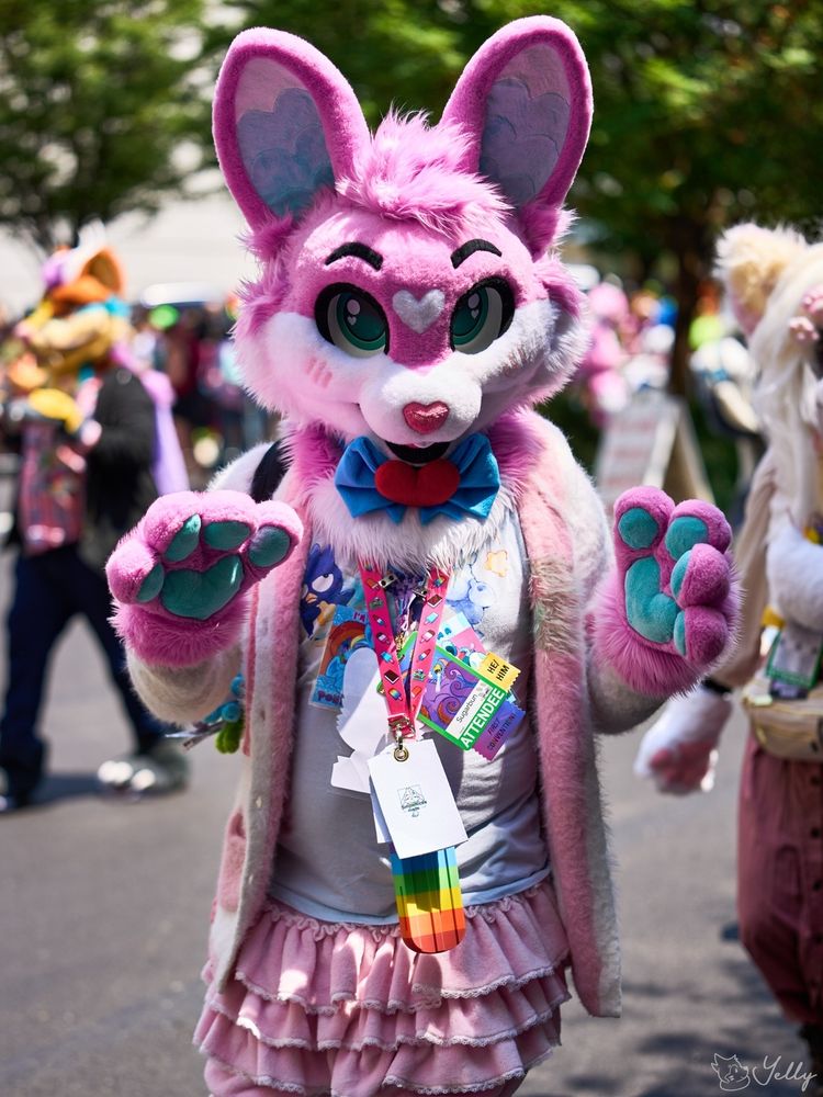 Me in my Pink bunny Partial fursuit of Sugarbun, in a pink/white cowdigan, wearing my rainbow popsicle fan and a bunch of anthrocon lanyard stuff, a pink fluffy skirt, and walking around the fursuit parade.