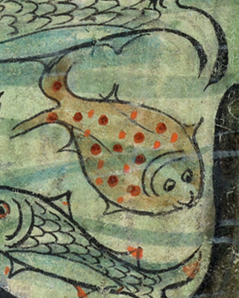 The first fish option. Likely supposed to be a flounder, it resembles a spotted dog more than anything else. Its face looks very happy. As if the dog is being presented with a treat. 