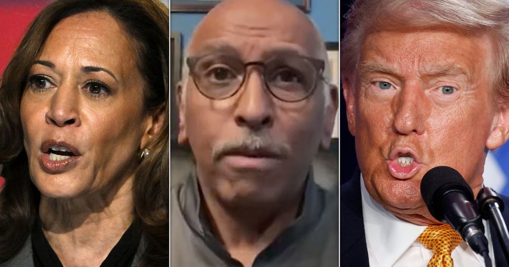 Blue Wave? Ex-RNC Chair Names 2 Crucial Trump States Harris Will Flip