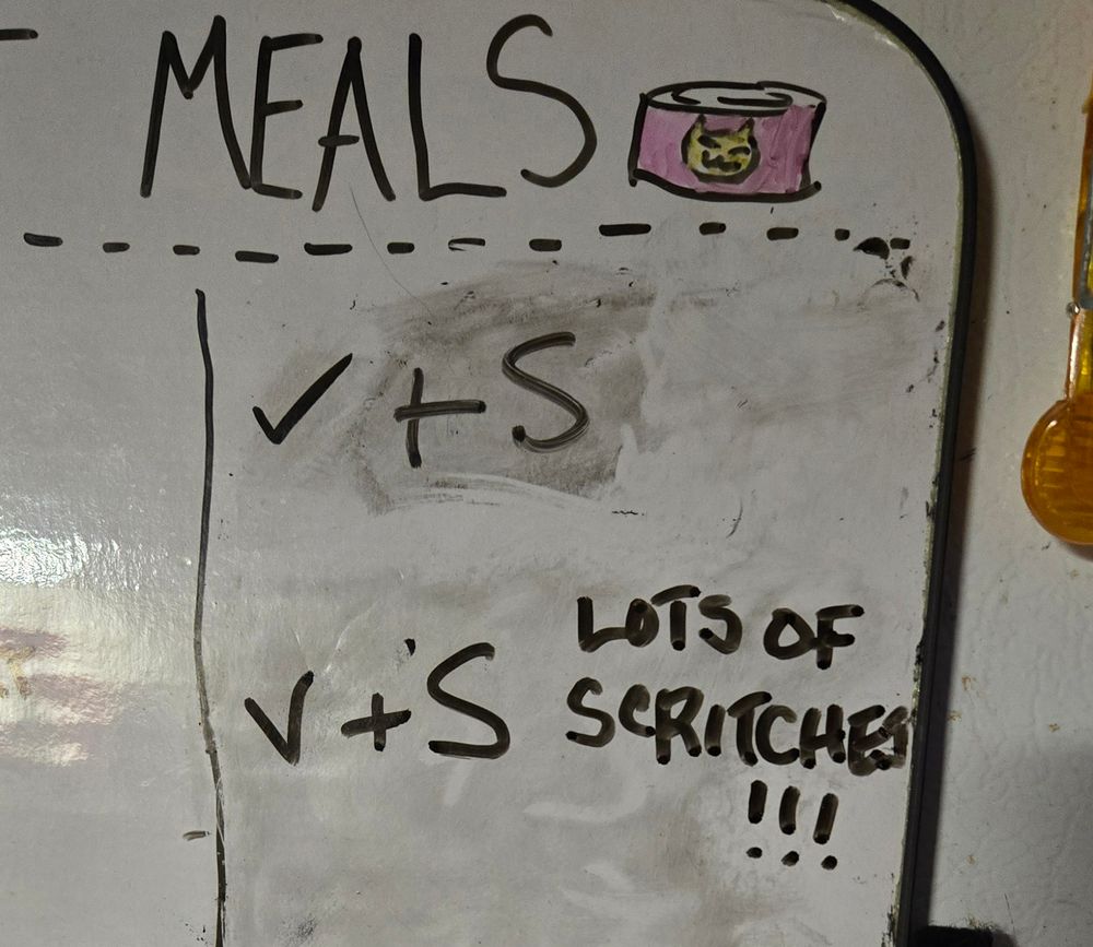 A whiteboard with the word "meals" written at the top with a drawing of a can of cat food. Two meal times are checked off, and the second one has "LOTS OF SCRITCHES!!!" written next to it