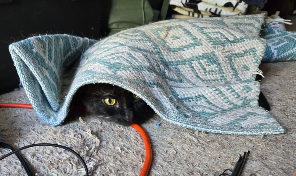 A black cat hiding under a small rug. part of the cat's face and one eye are peeking out from the rug 