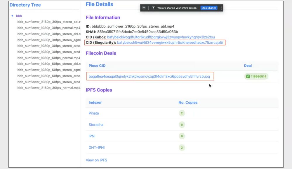 Screenshot of CAR file indexing tool for Singularity