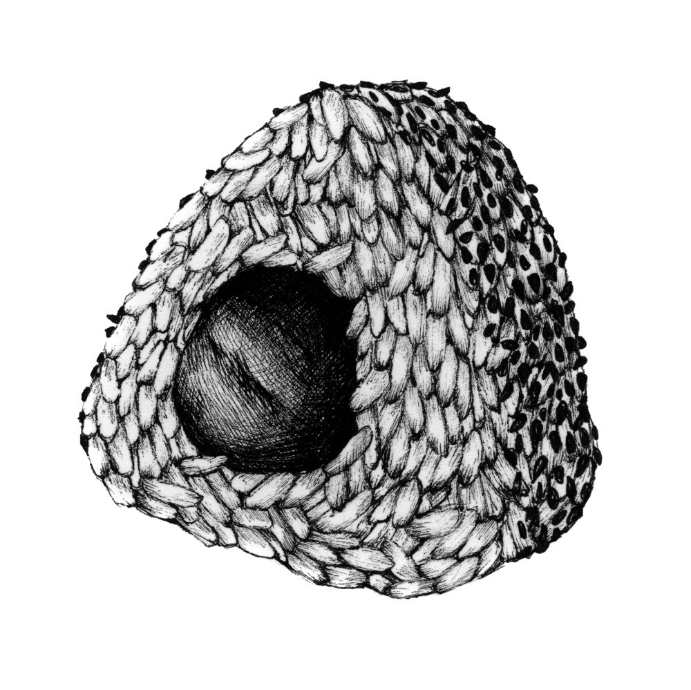 black and white illustration of onigiri house by rawpixel (https://www.123rf.com/profile_rawpixel)