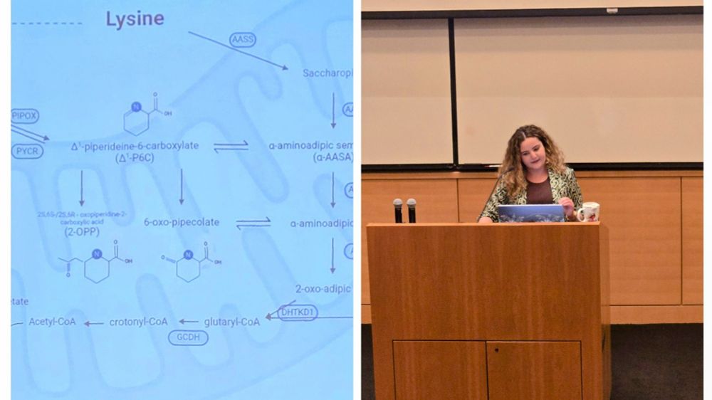 It's worth celebrating all the good news in science. Proud to watch Nicole Garcia Tubens (HMGGP PhD student)  present her rotation project on lysine metabolism 