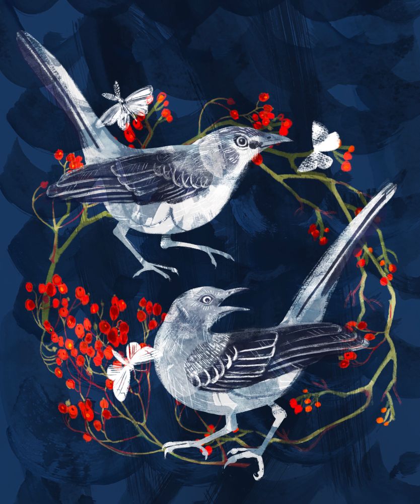 Illustration of two mockingbirds with white moths perching on branches of wild red rose hips