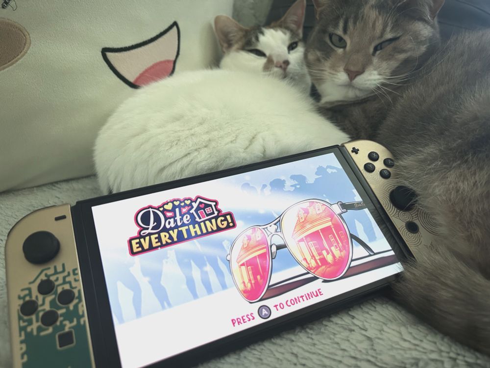 A Nintendo Switch with the game “Date Everything!” on the screen. In the background are 2 cats cuddling together 