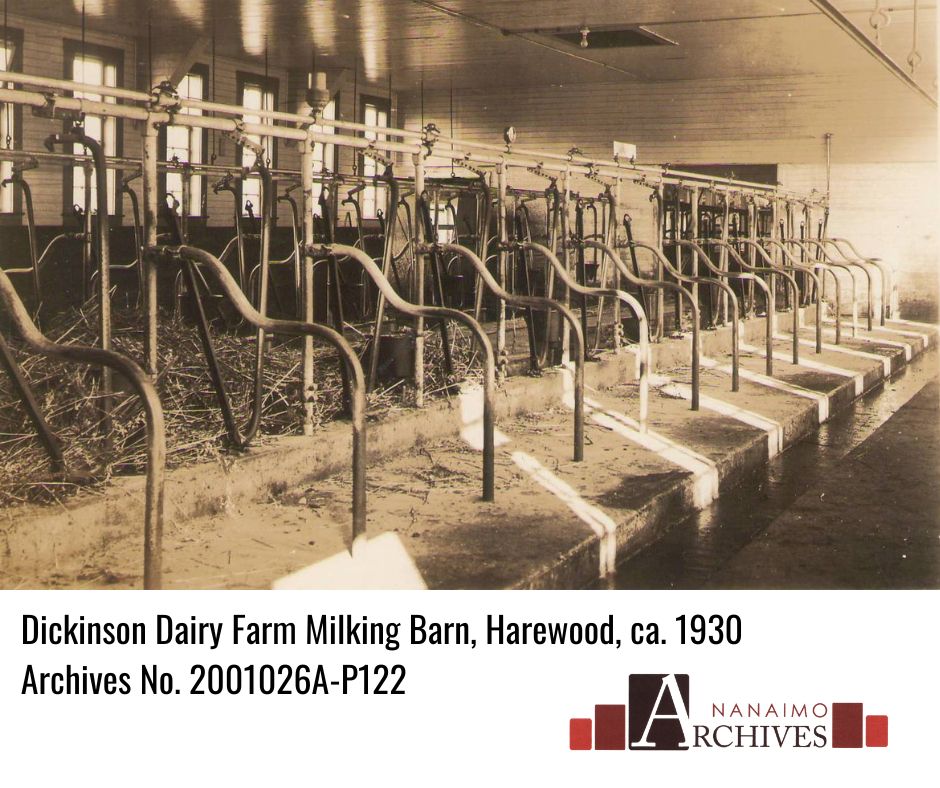 View of interior of Dickinson farm milking barn in Harewood, Nanaimo