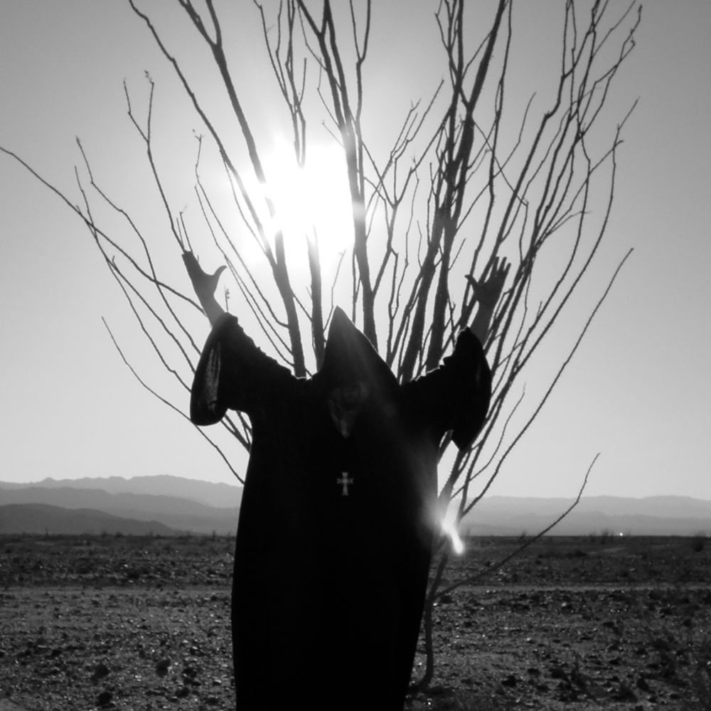 A man in a hooded cloak in the desert, channelling the energy of the sun and an ocotillo cactus
