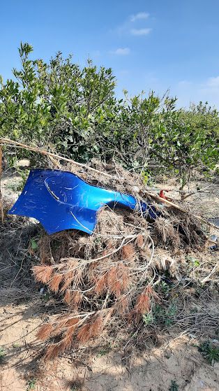 Foto de un campo de naranjos con un trozo de parachoques incrustado en un árbol.