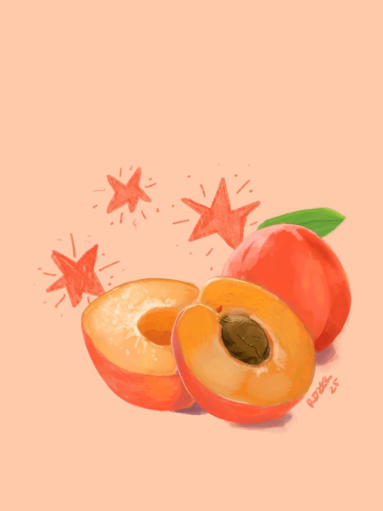 two peaches, one that was in half with the unpitted one in the front, all on a light peachy background with peached colored hand drawn stars