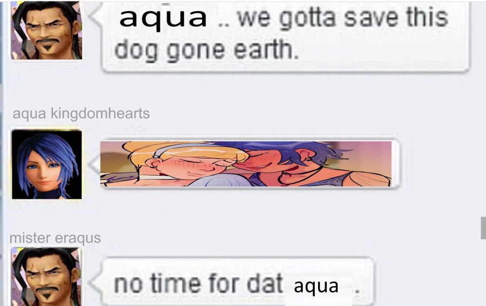 an edited meme of a facebook conversation between eraqus (called mister eraqus here) and aqua (called aquakingdomhearts). Eraqus says "aqua...we gotta save this doggone earth." aqua replies with a cropped yuri picture by ultimatedirk on tumblr of her and cinderella. eraqus says "no time for dat aqua"