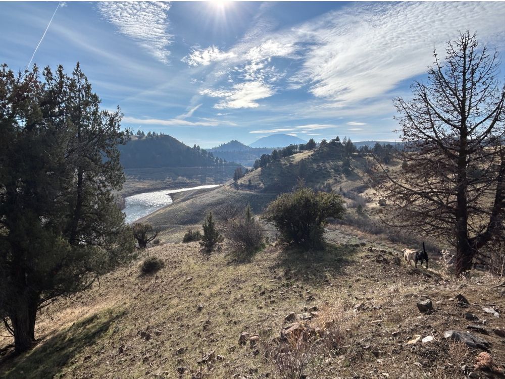 Klamath River running through valley where prior it was dammed. In the far distance is Mt Shasta 
